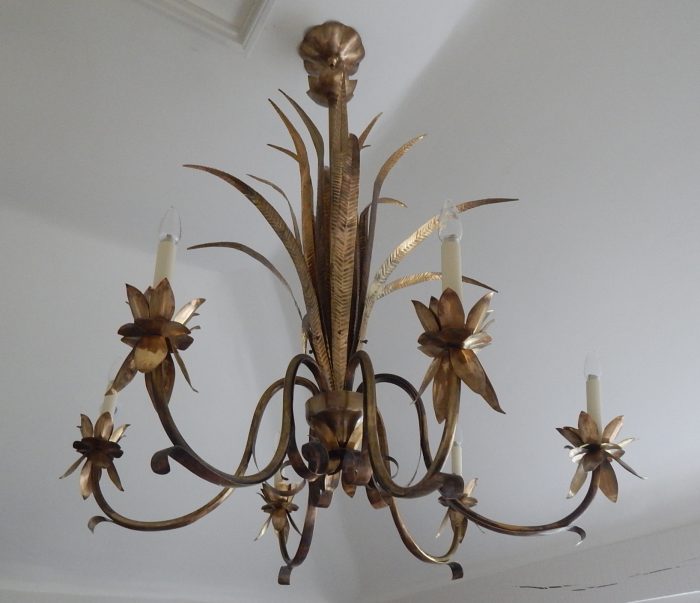 Darwin Lighting The Process